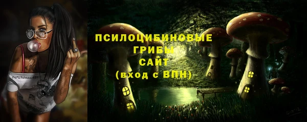 гидропоника Алексин