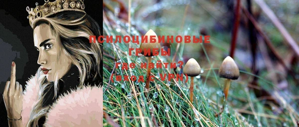 mdpv Алексеевка